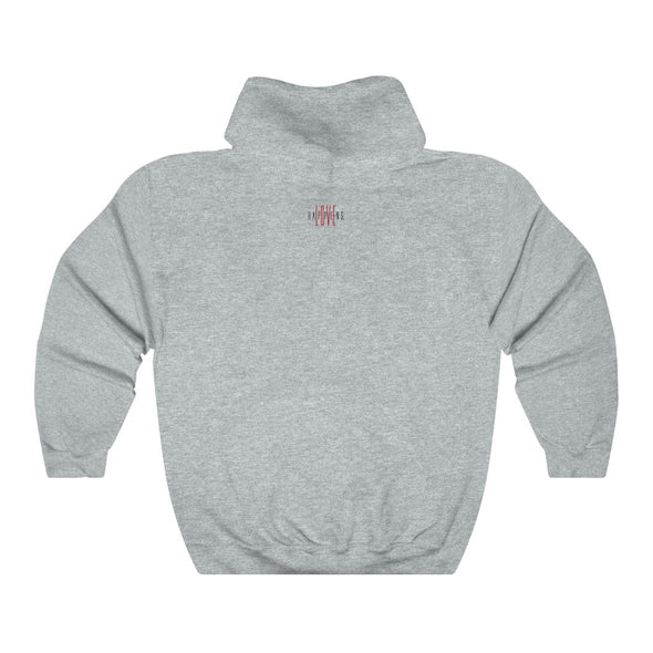 20th ANNIVERSARY Unisex Heavy Blend™ Hooded Sweatshirt (7 colors + up to 5XL)
